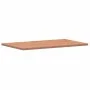Encimera de baño madera maciza de haya 100x60x2,5 cm de , Encimeras - Ref: Foro24-356004, Precio: 102,46 €, Descuento: %