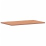 Encimera de baño madera maciza de haya 100x60x2,5 cm de , Encimeras - Ref: Foro24-356004, Precio: 101,71 €, Descuento: %