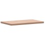 Encimera de baño madera maciza de haya 100x60x4 cm de , Encimeras - Ref: Foro24-355994, Precio: 135,88 €, Descuento: %