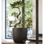Capi Macetero Urban Smooth negro 35x34 cm KBL932 de Capi, Maceteros y jardineras - Ref: Foro24-424347, Precio: 62,65 €, Descu...