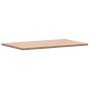 Tablero rectangular de madera maciza de haya 100x60x2,5 cm de , Tableros para mesas - Ref: Foro24-3188885, Precio: 97,02 €, D...
