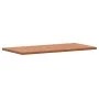 Massive Badezimmer-Arbeitsplatte aus Buchenholz 100x50x2,5 cm von , Arbeitsplatten - Ref: Foro24-356002, Preis: 84,10 €, Raba...