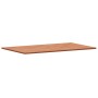 Encimera de baño madera maciza de haya 100x60x1,5 cm de , Encimeras - Ref: Foro24-356000, Precio: 58,55 €, Descuento: %