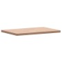 Encimera de baño madera maciza de haya 60x40x2,5 cm de , Encimeras - Ref: Foro24-355990, Precio: 51,88 €, Descuento: %