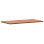 Tablero rectangular de madera maciza de haya 100x50x2,5 cm de , Tableros para mesas - Ref: Foro24-3188894, Precio: 90,22 €, D...