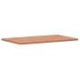 Tablero rectangular de madera maciza de haya 100x60x2,5 cm de , Tableros para mesas - Ref: Foro24-3188896, Precio: 101,71 €, ...