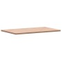 Encimera de baño madera maciza de haya 100x60x2,5 cm de , Encimeras - Ref: Foro24-355991, Precio: 97,02 €, Descuento: %