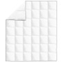 Edredón de plumón de invierno 200x220 cm de vidaXL, Colchas y edredones - Ref: Foro24-132884, Precio: 86,02 €, Descuento: %