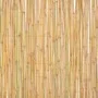 Valla de bambú 300x100 cm de vidaXL, Paneles de vallas - Ref: Foro24-142683, Precio: 91,15 €, Descuento: %