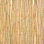 Valla de bambú 300x100 cm de vidaXL, Paneles de vallas - Ref: Foro24-142683, Precio: 100,89 €, Descuento: %