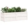 Jardinera madera maciza de pino blanco 150x50x50 cm de vidaXL, Maceteros y jardineras - Ref: Foro24-837485, Precio: 119,66 €,...