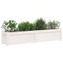 Jardinera de madera maciza de pino blanca 150x31x31 cm de vidaXL, Maceteros y jardineras - Ref: Foro24-837476, Precio: 88,12 ...