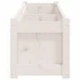 Jardinera de madera maciza de pino blanca 150x31x31 cm de vidaXL, Maceteros y jardineras - Ref: Foro24-837476, Precio: 88,12 ...