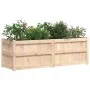 Jardinera de madera maciza de pino 150x50x50 cm de vidaXL, Maceteros y jardineras - Ref: Foro24-837484, Precio: 102,26 €, Des...