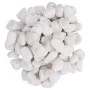 Guijarros pulidos blancos 25 kg 2-5 cm de vidaXL, Decoración de acuarios - Ref: Foro24-155330, Precio: 58,23 €, Descuento: %
