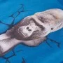 Camiseta infantil de manga larga azul petróleo 140 de vidaXL, Camisetas para niños - Ref: Foro24-13228, Precio: 11,92 €, Desc...
