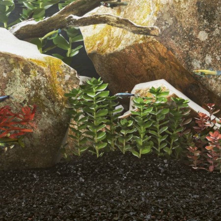 Arena para acuario negra 10 kg 0,2-2 mm de vidaXL, Sustratos y arena para acuarios - Ref: Foro24-155293, Precio: 31,79 €, Des...