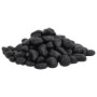 Guijarros pulidos negros 25 kg 2-5 cm de vidaXL, Decoración de acuarios - Ref: Foro24-155328, Precio: 67,20 €, Descuento: %