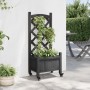 Jardinera con enrejado y ruedas madera maciza de abeto negro en Macetas y jardineras | Comprar online en Foru.es