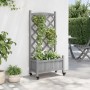 Jardinera con enrejado y ruedas madera maciza de abeto gris en Macetas y jardineras | Comprar online en Foru.es