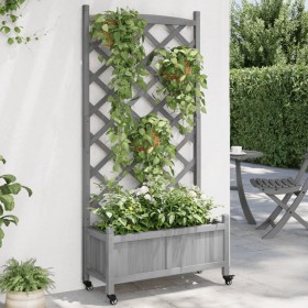 Jardinera con enrejado y ruedas madera maciza de abeto gris en Macetas y jardineras | Comprar online en Foru.es