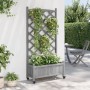 Jardinera con enrejado y ruedas madera maciza de abeto gris en Macetas y jardineras | Comprar online en Foru.es