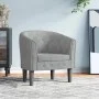Sillón de terciopelo gris claro de vidaXL, Sillones - Ref: Foro24-356469, Precio: 148,31 €, Descuento: %