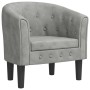 Sillón de terciopelo gris claro de vidaXL, Sillones - Ref: Foro24-356469, Precio: 173,77 €, Descuento: %