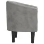 Sillón de terciopelo gris claro de vidaXL, Sillones - Ref: Foro24-356469, Precio: 148,31 €, Descuento: %