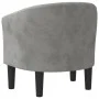 Sillón de terciopelo gris claro de vidaXL, Sillones - Ref: Foro24-356469, Precio: 148,31 €, Descuento: %