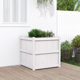 Jardinera de madera maciza de pino blanca 70x70x70 cm de , Maceteros y jardineras - Ref: Foro24-837435, Precio: 99,41 €, Desc...