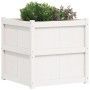 Jardinera de madera maciza de pino blanca 70x70x70 cm de , Maceteros y jardineras - Ref: Foro24-837435, Precio: 99,41 €, Desc...
