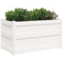 Jardinera de madera maciza de pino blanca 90x50x50 cm de , Maceteros y jardineras - Ref: Foro24-837461, Precio: 74,72 €, Desc...