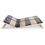 Somier de láminas con 42 listones 7 regiones 100x200 cm de vidaXL, Camas y somieres - Ref: Foro24-246476, Precio: 146,34 €, D...