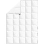 Edredón de plumón de invierno 150x200 cm de vidaXL, Colchas y edredones - Ref: Foro24-132881, Precio: 35,67 €, Descuento: %