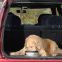 Road Refresher Bebedero de mascotas antiderrames grande gris LBRR de Road Refresher, Cuencos, comederos, y bebederos para mas...