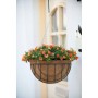 Nature Kit de macetero colgante 6070118 de Nature, Maceteros y jardineras - Ref: Foro24-421349, Precio: 30,41 €, Descuento: %
