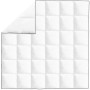 Edredón de plumón de invierno 200x200 cm de vidaXL, Colchas y edredones - Ref: Foro24-132883, Precio: 52,84 €, Descuento: %