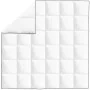 Winterdaunendecke 200x200 cm von vidaXL, Tagesdecken und Bettdecken - Ref: Foro24-132883, Preis: 51,84 €, Rabatt: %