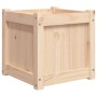 Jardineras de exterior 2 unidades madera maciza de pino de , Maceteros y jardineras - Ref: Foro24-837405, Precio: 78,70 €, De...