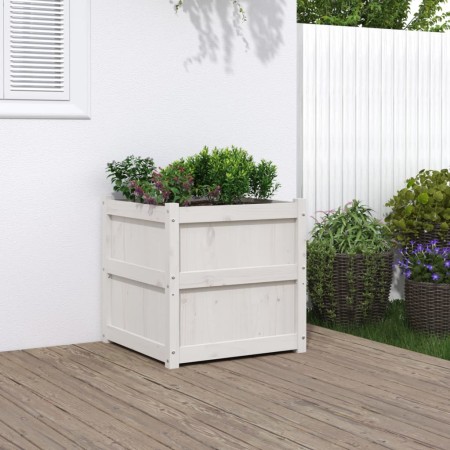 Jardinera madera maciza de pino blanco 60x60x60 cm de , Maceteros y jardineras - Ref: Foro24-837426, Precio: 79,30 €, Descuen...