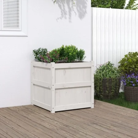 Jardinera madera maciza de pino blanco 60x60x60 cm de , Maceteros y jardineras - Ref: Foro24-837426, Precio: 78,49 €, Descuen...