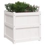 Jardinera madera maciza de pino blanco 60x60x60 cm de , Maceteros y jardineras - Ref: Foro24-837426, Precio: 79,30 €, Descuen...