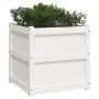 Jardinera madera maciza de pino blanco 60x60x60 cm de , Maceteros y jardineras - Ref: Foro24-837426, Precio: 78,49 €, Descuen...