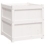 Jardinera madera maciza de pino blanco 60x60x60 cm de , Maceteros y jardineras - Ref: Foro24-837426, Precio: 79,30 €, Descuen...