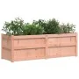 Jardinera de madera maciza de abeto Douglas 150x50x50 cm de , Maceteros y jardineras - Ref: Foro24-837487, Precio: 141,26 €, ...