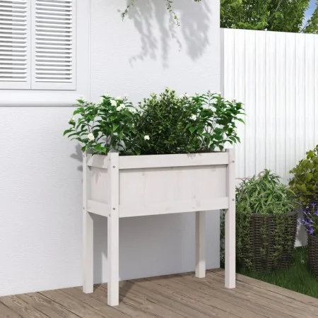 Jardinera con patas madera maciza de pino blanco 70x31x70 cm de , Maceteros y jardineras - Ref: Foro24-837556, Precio: 48,23 ...