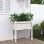 Jardinera con patas madera maciza de pino blanco 70x31x70 cm de , Maceteros y jardineras - Ref: Foro24-837556, Precio: 48,23 ...