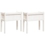 Jardineras exterior con patas 2 uds madera maciza pino blanco de , Maceteros y jardineras - Ref: Foro24-837557, Precio: 88,23...