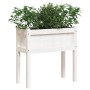 Jardineras exterior con patas 2 uds madera maciza pino blanco de , Maceteros y jardineras - Ref: Foro24-837557, Precio: 88,23...